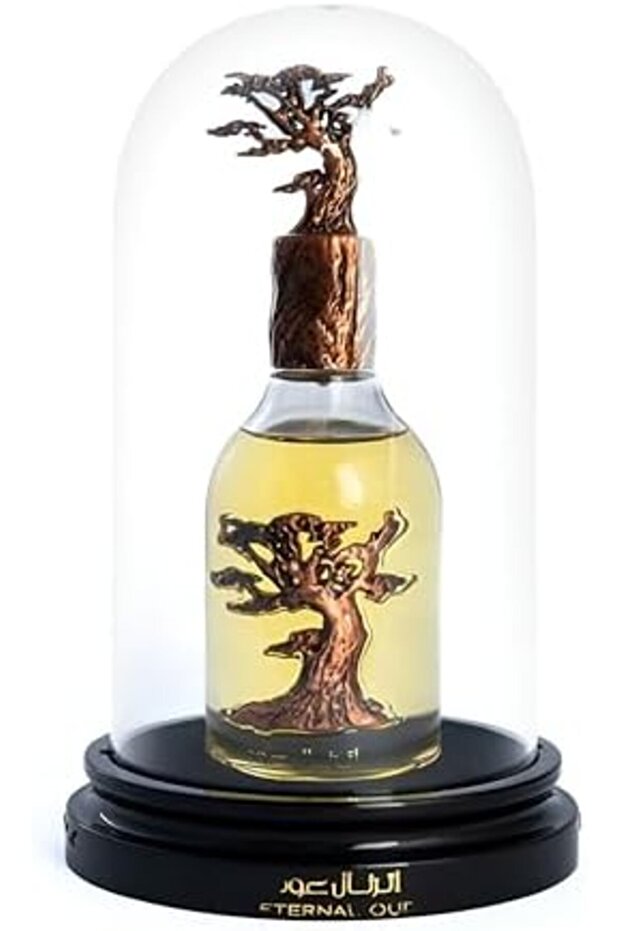 عود أبدي - برايد - 6