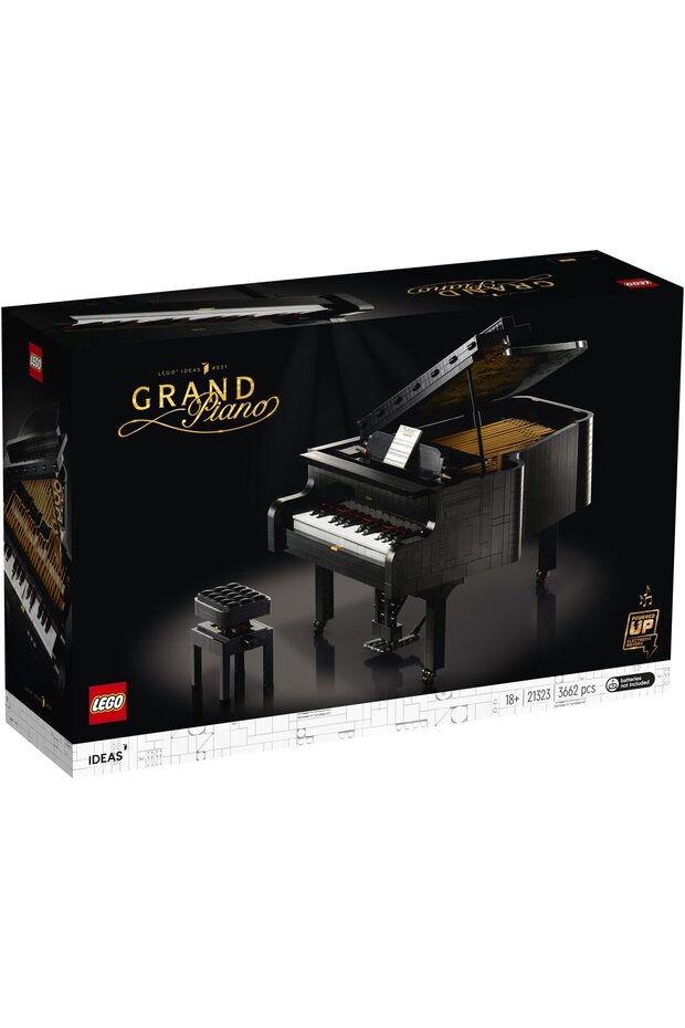 LEGO Ideas - Plan 21323 - 4