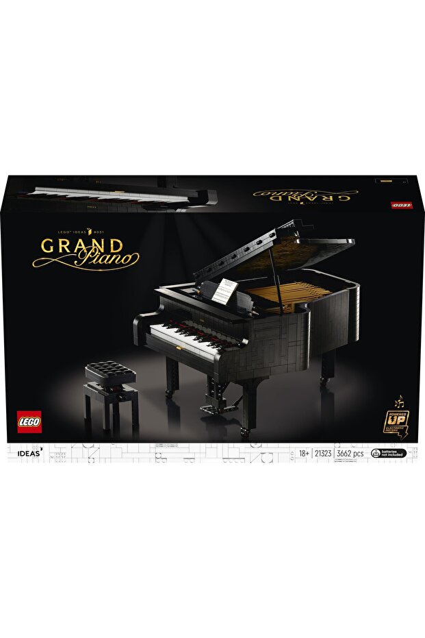 LEGO Ideas - Plan 21323 - 3