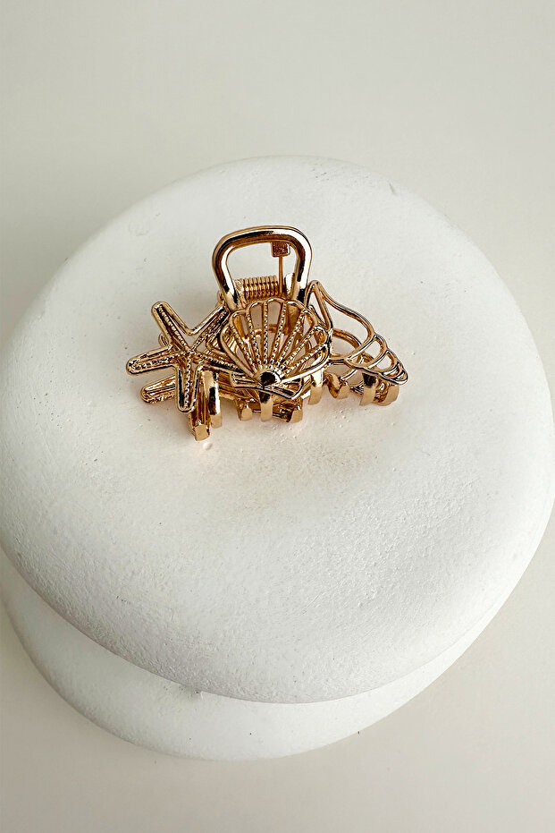 Sea Shell D.Star - 4cm Metal Pincer Buckle