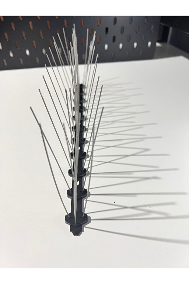 Kuşsever strong - 1