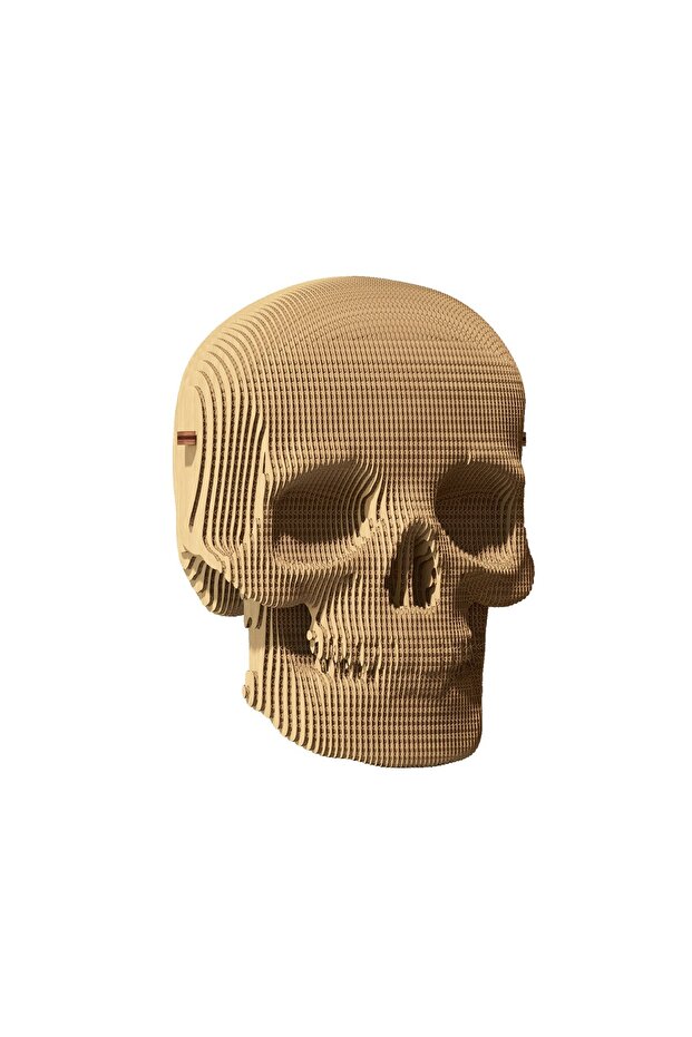3D пъзел, ЧЕРЕП, Картон, 72 части - 2