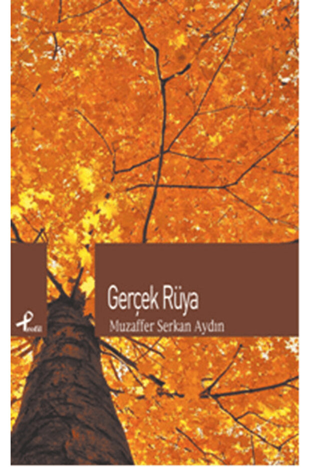 Gerçek Rüya