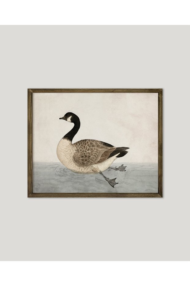 Floating Duck Framed Poster