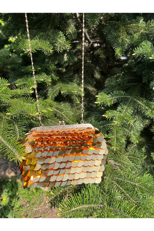 Dore Pullu Abiye Çanta - 2