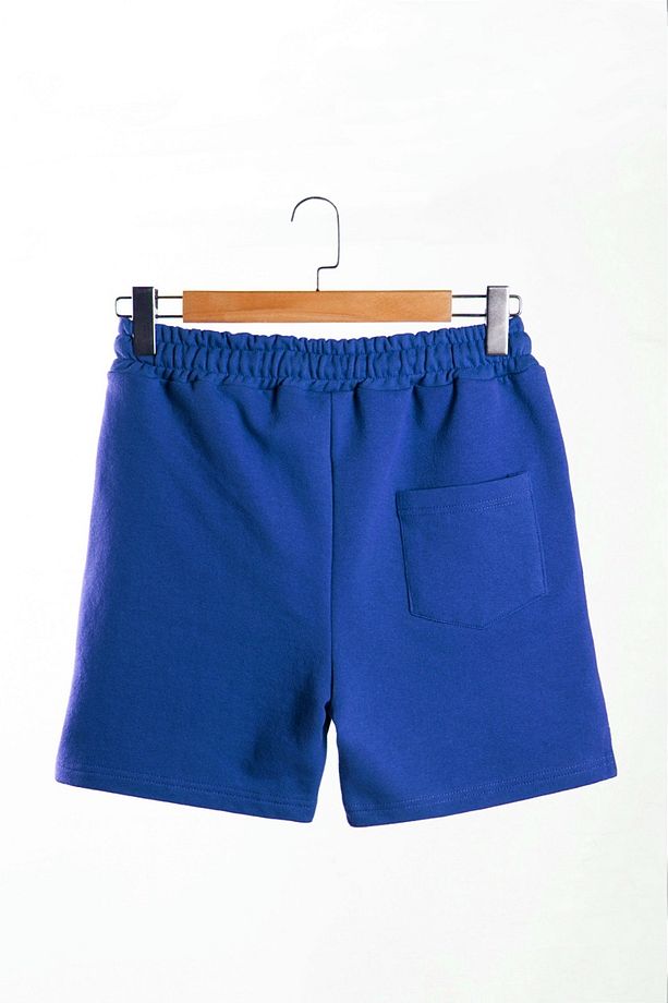 Erkek Saks Mavi Basic Regular Fit Şort & Bermuda - 4