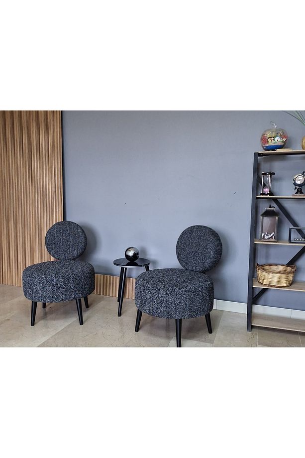 DÜNYA 2 Adet Koltuk Seti Berjer - Bekleme Salonu- Tekli Koltuk - Cafe - Balkon - Ofis Mobilyası - 2