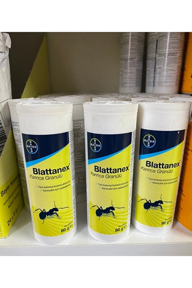 Blattanex karınca granülü - 4