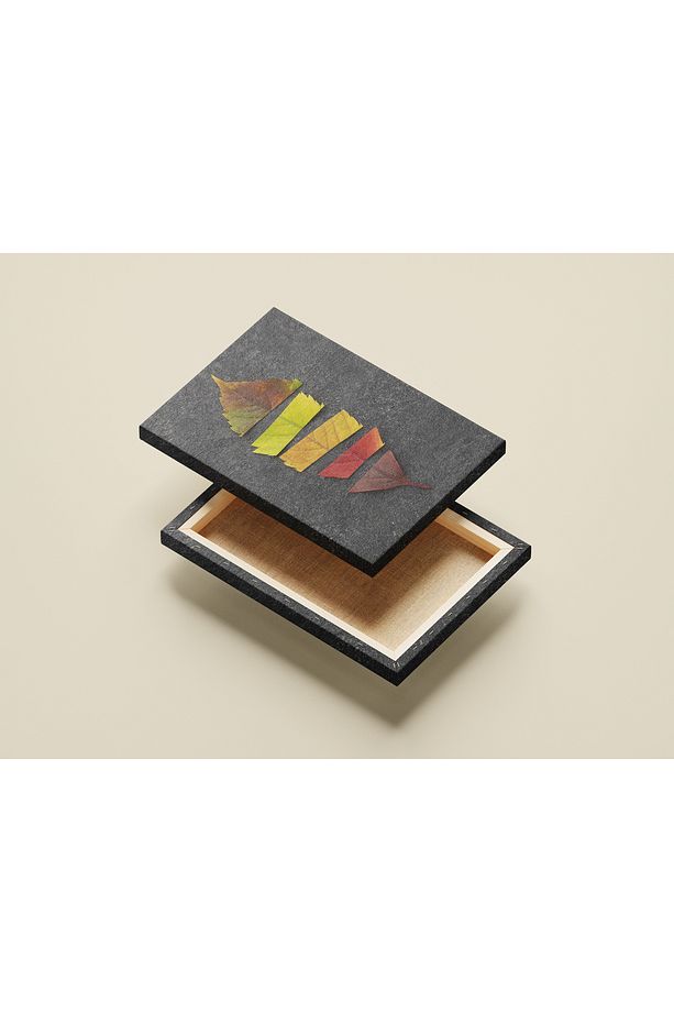 - Kanvas Tablo Pastel Renkler , Kuru Yaprak Dekoratif Kanvas Duvar Tablosu - 6