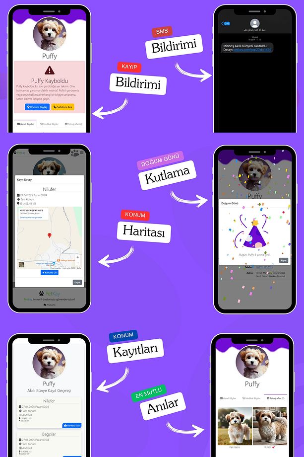 İsimli Köpek Tasması, Akıllı Künye, Nfc Dijital Isimlik Ve Tasma Künyesi Qr Kod Künye P. Çelik Mor - 6