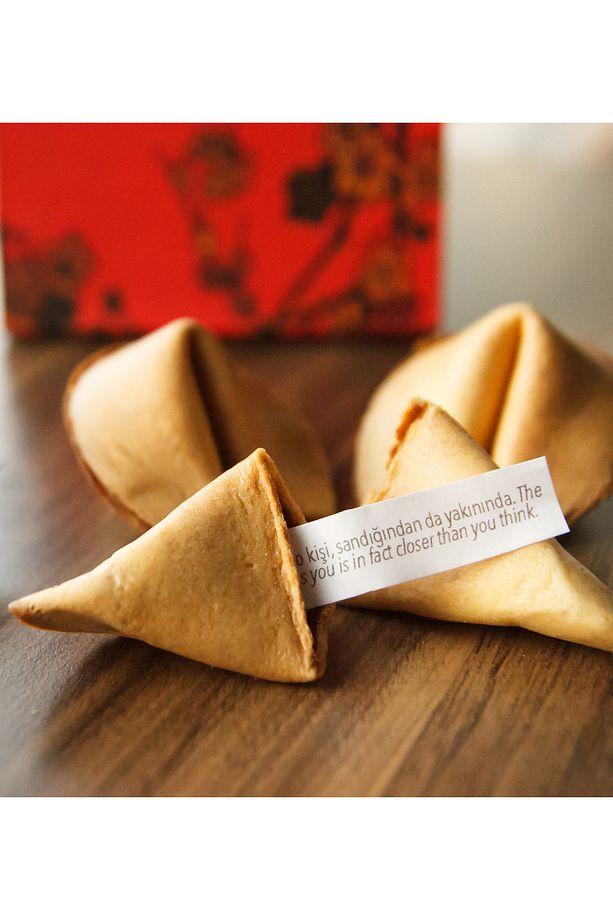 Fortune Cookie (HAZIR DİLEKLER / FALLAR) 250 Adetlik Koli - 3