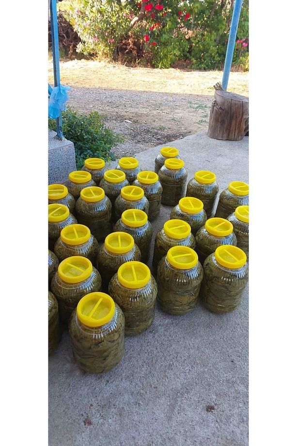 5 lt Salamura Yaprak 2 Adet - 1