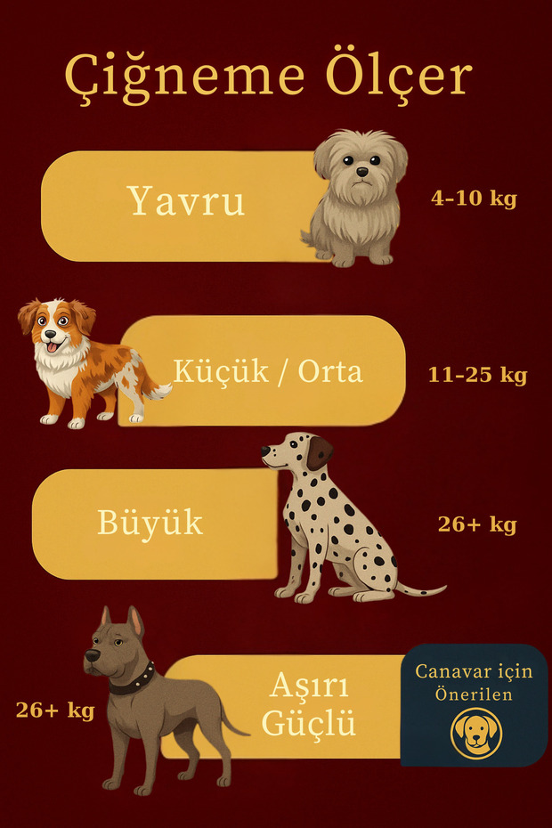 30 Cm Canavar Boy %100 Doğal Dana Kamışı | Köpek Çiğneme Ödül Maması | Uzun Süre Dayanıklı | 1 Adet - 6