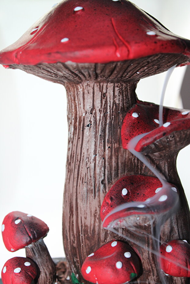 Mantar Geri Akış Tütsülük - 4