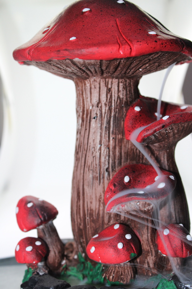 Mantar Geri Akış Tütsülük - 3