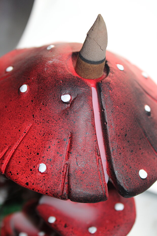 Mantar Geri Akış Tütsülük - 5