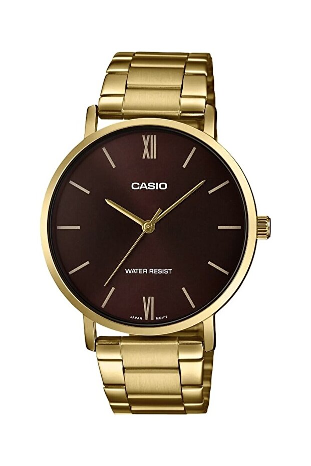 Men's Wristwatch with Brown Band Gold Color 2 Years Warranty