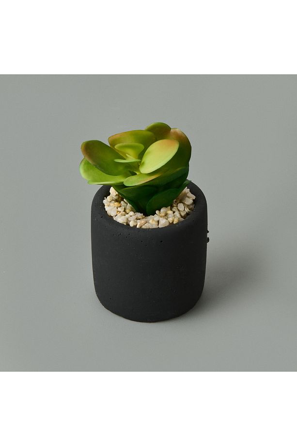 Mini Pot Sukulent - Siyah - 8x6x6 cm - 3