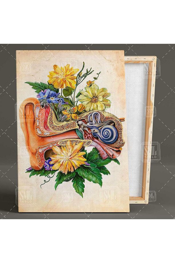 Kulak Anatomisi Kulak Burun Boğaz Çiçekler Ent Dikey Kanvas Tablo - 2