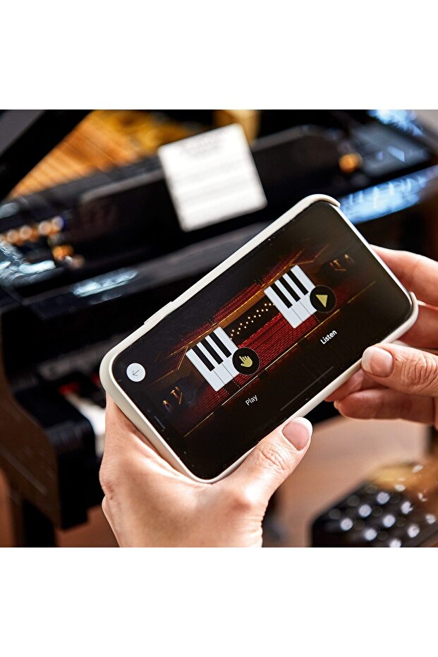 LEGO Ideas - Plan 21323 - 2