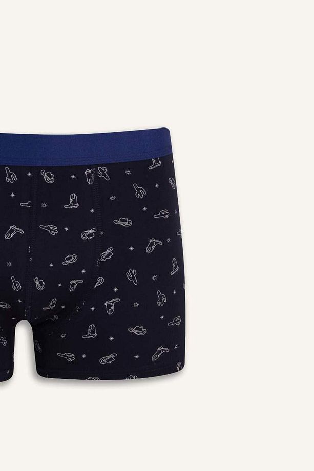 Regular Fit Kaktüs Desenli 3'lü Boxer E7211ax25sm - 4