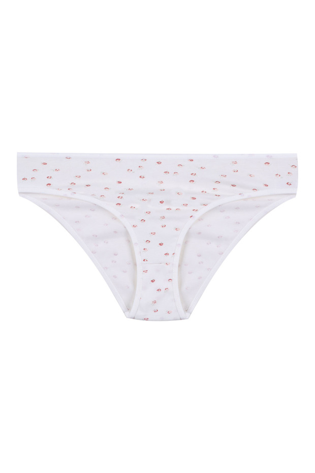 Kadın 3'lü Pamuklu Basic Külot - 5