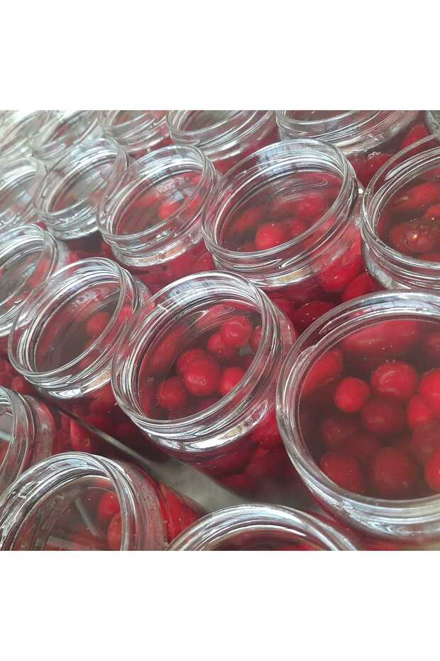 Vişne Komposto 660cc - 2