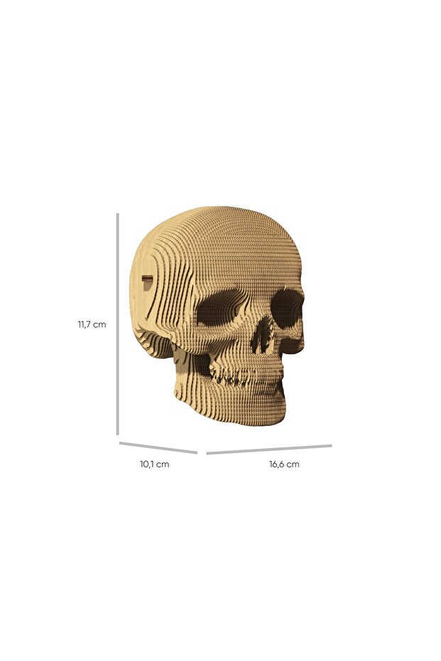3D пъзел, ЧЕРЕП, Картон, 72 части - 3