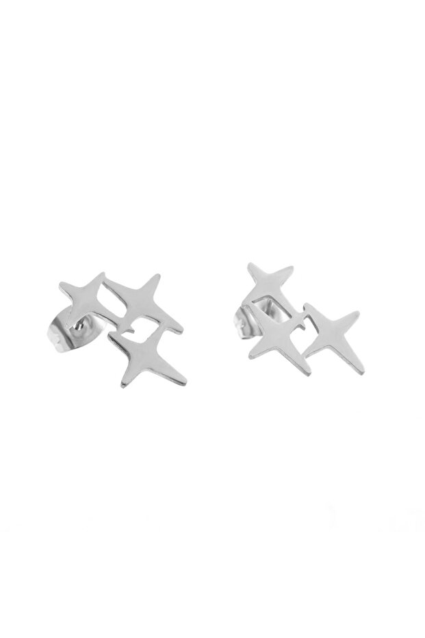 Titanium Flower Earrings SIC MODA 3906A - 1