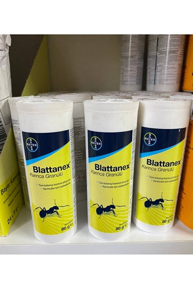Blattanex karınca granülü - 3