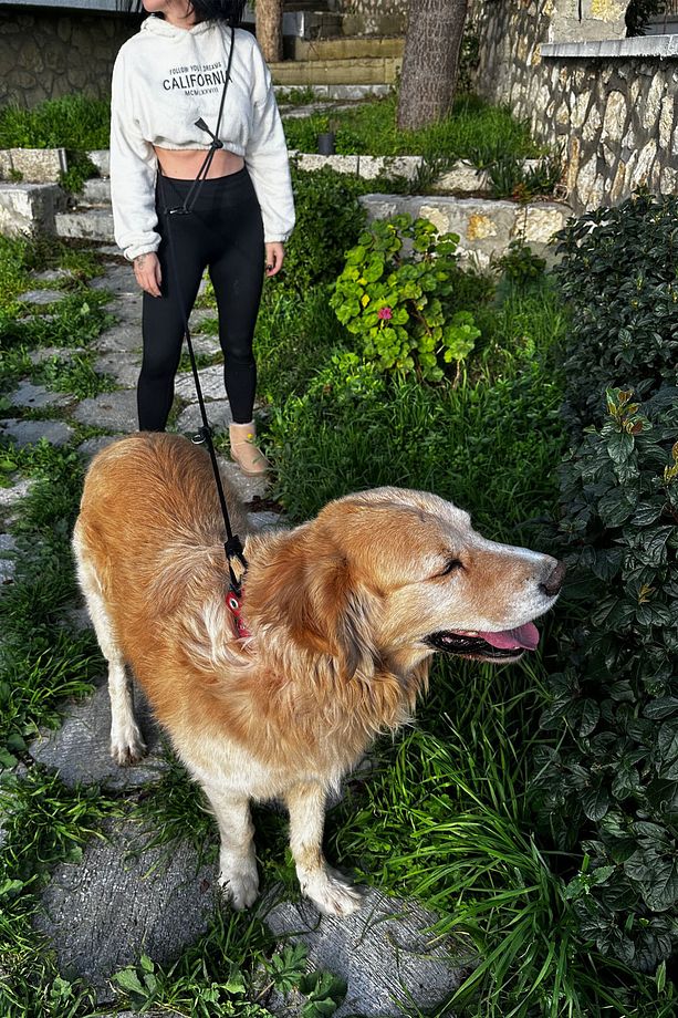 Yumuşak Doku Mavi Köpek Hands Free Koşu Ve Yürüyüş Gezdirme Kayışı Tasması - 5