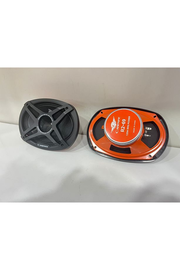 R2-69 OVAL MİDRANGE KURŞUN GÖBEK 125 RMS PRO SERİ - 3