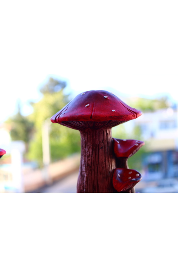 Mantar Geri Akış Tütsülük - 5