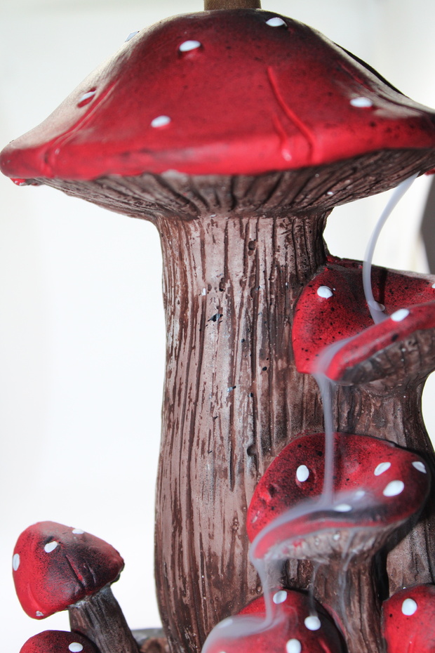 Mantar Geri Akış Tütsülük - 1