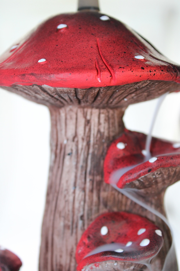 Mantar Geri Akış Tütsülük - 2