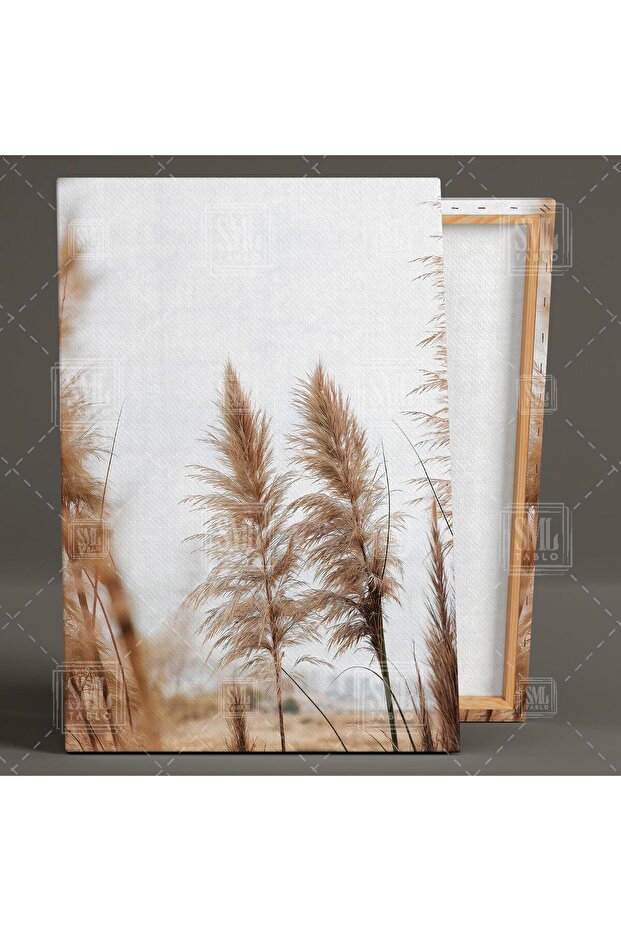 Pampas Boho Stil Iskandinav Tarzı Kanvas Moda Dikey Kanvas Tablo - 2