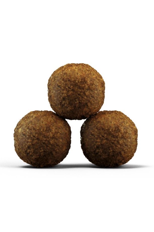 KİTTEN GRAİNFREE 4,25KG - 3