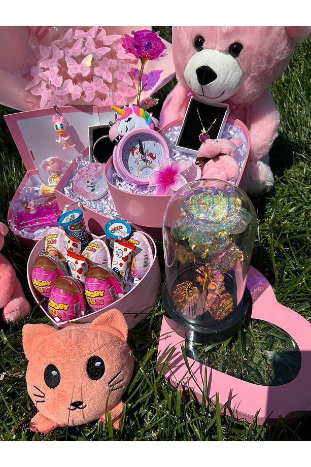 Pembe Dev Aşk Set’i kelebek Buket’i Takı Peluş Ayı Sevgiliye - 4