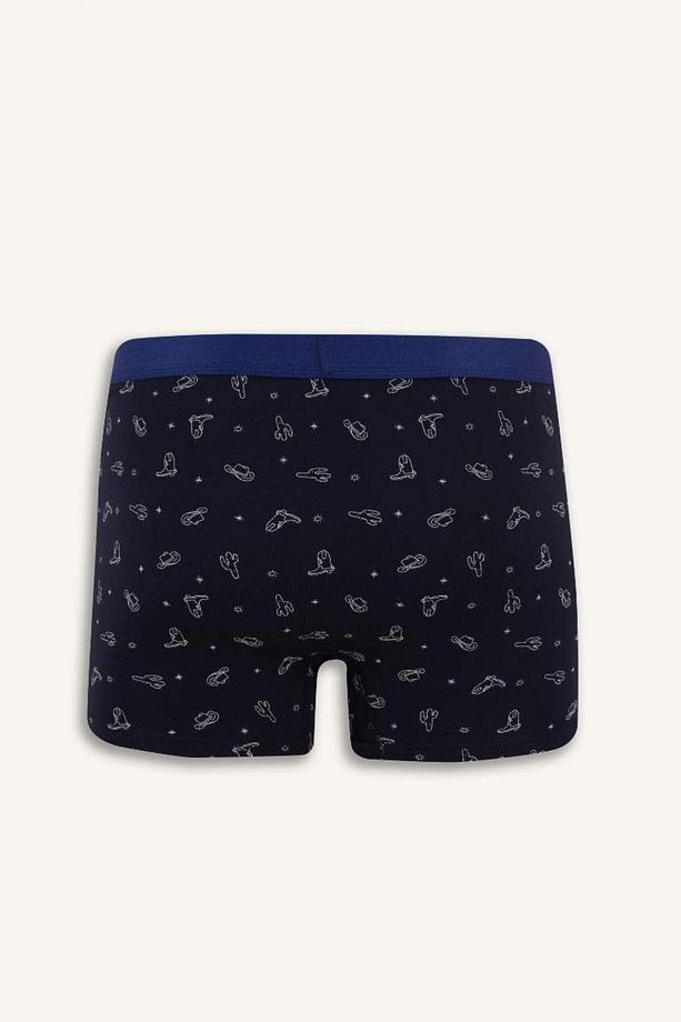 Regular Fit Kaktüs Desenli 3'lü Boxer E7211ax25sm - 3