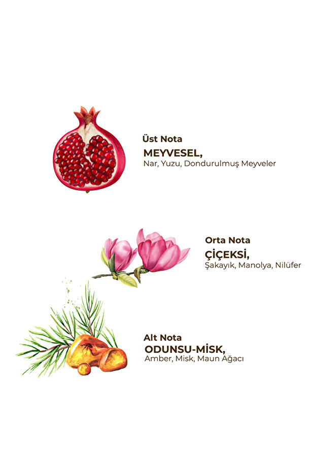 Floral - Kadın Roll On Deodorant 75 ml - 2