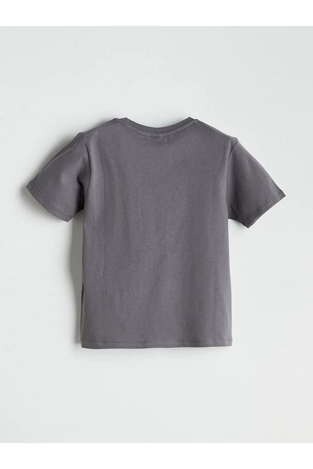 LCW ECO Gri Bisiklet Yaka Erkek Çocuk Şortlu Pijama Takımı - 3