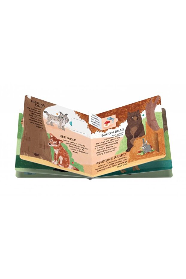 Animals to Save - The Woods - 4