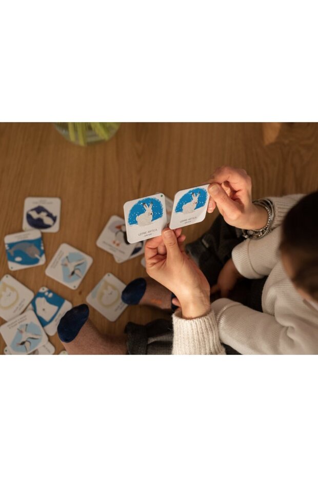 الحيوانات لإنقاذ الجليد القطبي - 7