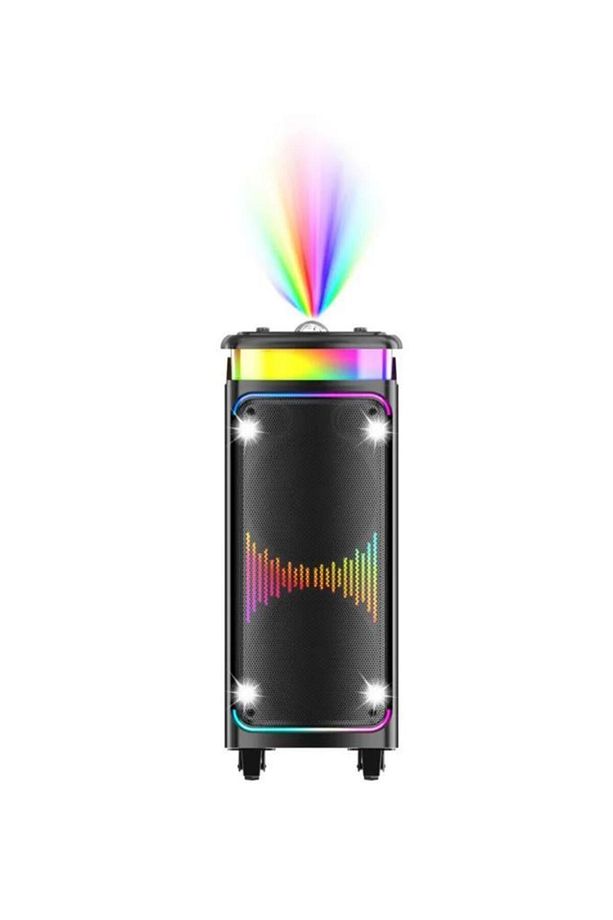 DR-8816 Siyah Çift Mikrofonlu RGB Ledli Taşınabilir Bluetooth Hoparlör Parti Speaker - 3