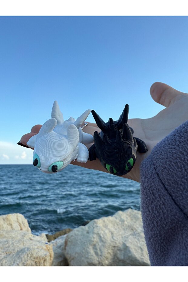 Dragon Keychain – the Fury of Night and Light 3D Design | How to Train Your Dragon Themed