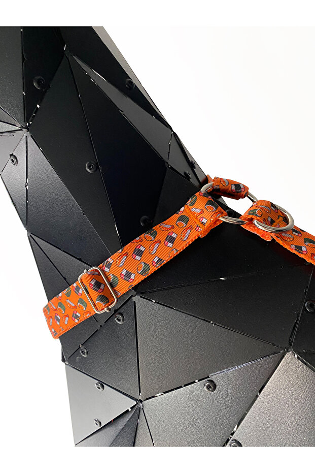 Collar Set Sushi Model - 3