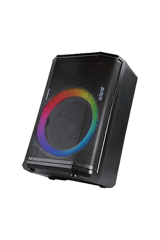 Professional Stage Speakers IK-DSP35