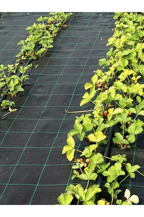 Taban Örtüsü 105cm X 20 Metre Sera Taban Örtüsü Jüt Taban Örtüsü Malçlama Örtüsü Yer Örtüsü - 4