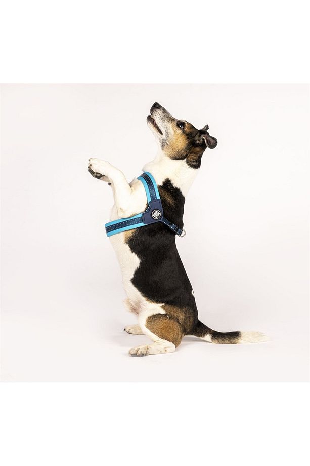 Matrix Q-Fit Köpek Göğüs Tasması - 2