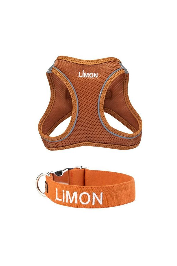 Kişiye Özel İsimli Airmesh Göğüs Tasması ve İsimli Köpek Boyun Tasması (2'li Set) - 1